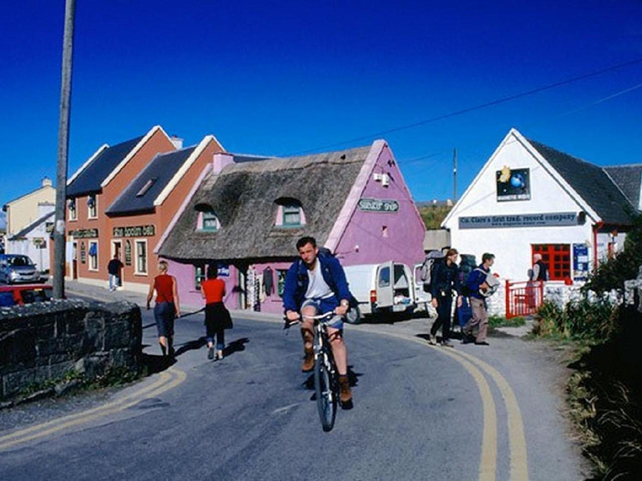 Elfin Cottage دولين المظهر الخارجي الصورة